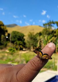 Close-up of butterfly on hand