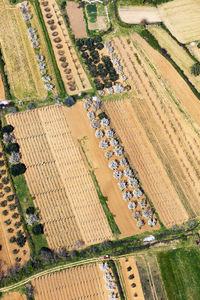 Aerial view of fertile fields in zadar region near adriatic coast