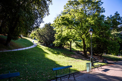 Footpath amidst trees in park