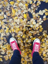 Low section of person standing on autumn leaves