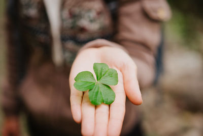 Close-up of woman holding leaves