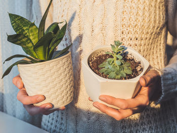 Midsection of woman holding potted plant