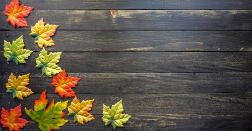 High angle view of leaves on table