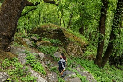 Full length of man amidst trees in forest