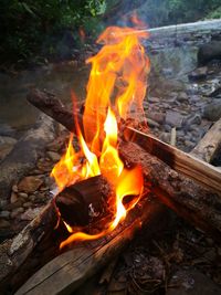 Close-up of fire burning in log