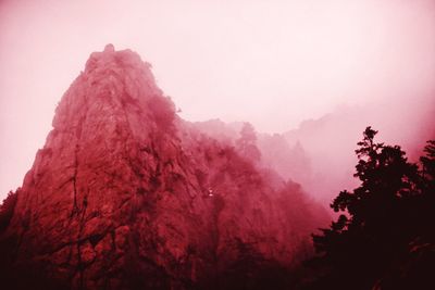 Low angle view of silhouette trees against sky