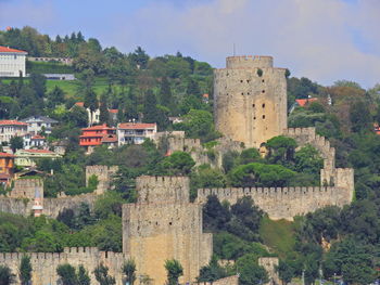 Fort amidst trees