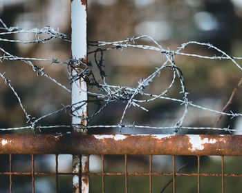 Close-up of rusty barbed wire