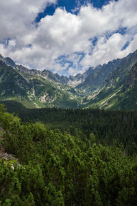Scenic view of forest by mountains against cloudy sky