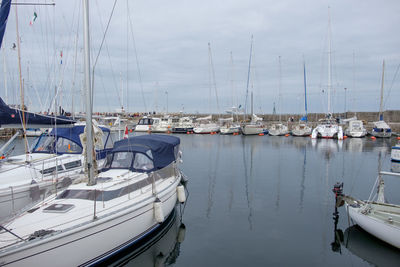 Sailboats moored in harbor against sky