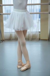 Low section of ballet dancer in ballet shoe 