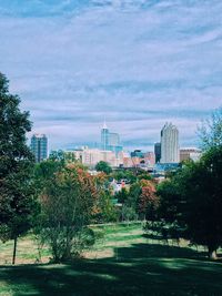 Trees in park with city in background