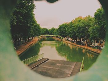 Reflection of trees in water