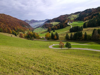 Scenic view of field against sky