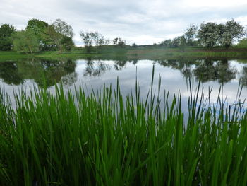 Scenic view of lake against sky