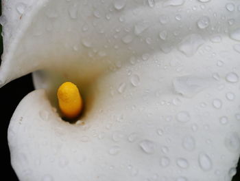 Full frame shot of raindrops on glass