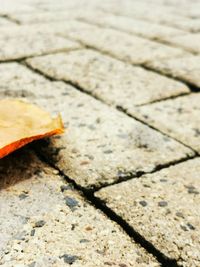 High angle view of dry leaves on footpath