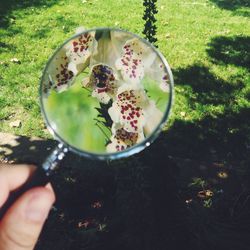 Cropped image of hand holding coffee