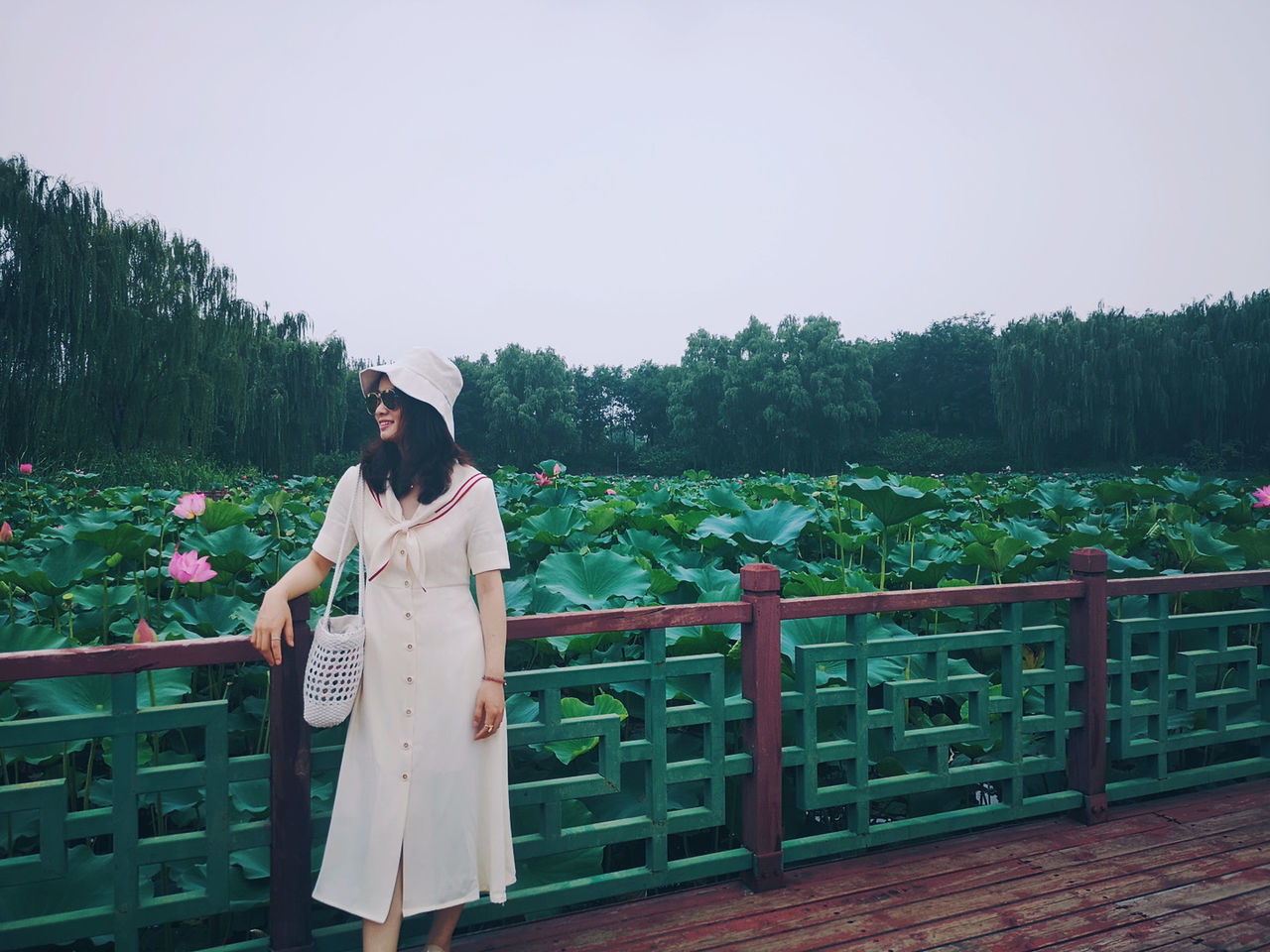 plant, adult, bride, women, nature, one person, sky, wedding dress, young adult, full length, clothing, standing, dress, tree, flower, railing, beauty in nature, lifestyles, fashion, female, flowering plant, green, leisure activity, copy space, ceremony, blue, outdoors, day, person, emotion, tranquility, landscape
