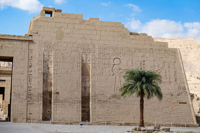 Egyptian temple. date palm tree.