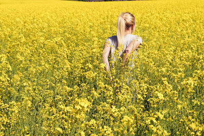 Rear view of young woman standing amidst oilseed rape