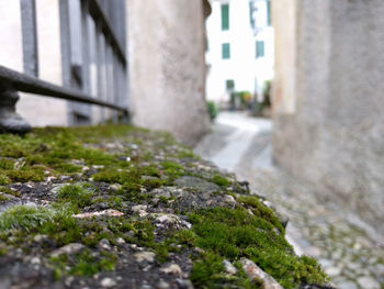 Surface level of stone wall