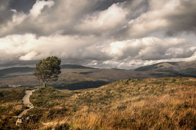 Scenic view of field against sky