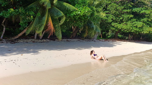 Young woman on beach against trees