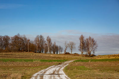 Road amidst trees on field against sky