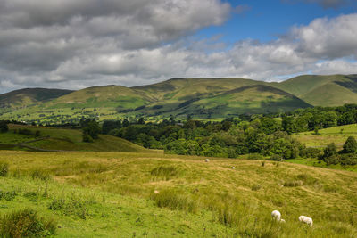 Scenic view of green landscape against sky