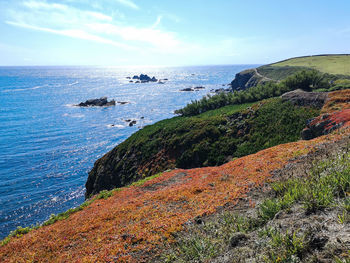 Scenic view of sea against sky