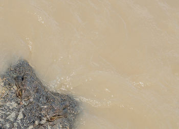 High angle view of wave splashing on shore