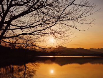 Silhouette bare tree by lake against sky during sunset