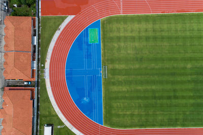 Close-up of green grass in field