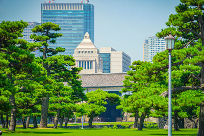 Trees and buildings against sky