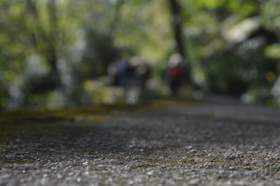 Close-up of road