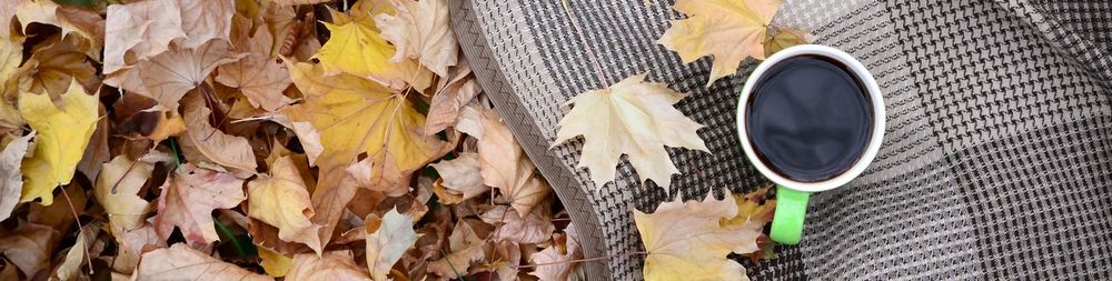 High angle view of dry leaves on table