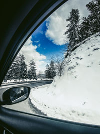 Reflection of trees on side-view mirror of car