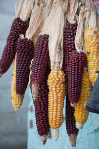 Close-up of corns hanging outdoors