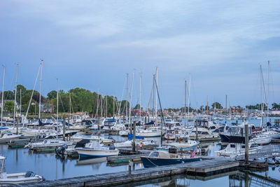 Sailboats moored in marina