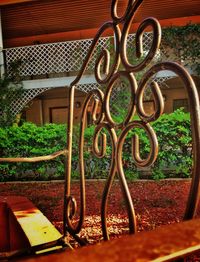 Close-up view of leaves