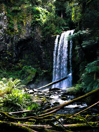 Scenic view of waterfall in forest