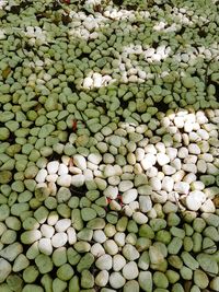 Full frame shot of pebbles in market