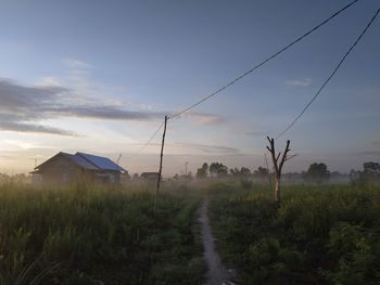 Misty dawn at bumi ayu