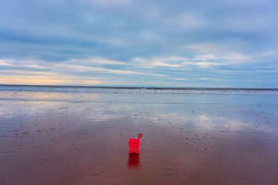 Rear view of boy on beach against sky