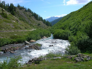 Scenic view of stream amidst trees against sky