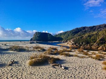 Scenic view of beach against blue sky