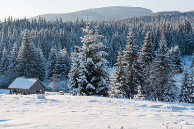 Houses on snow covered land against sky