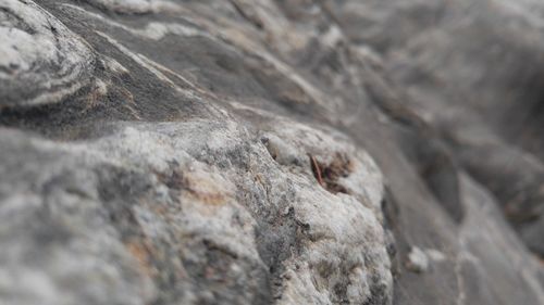 Low angle view of rock formation