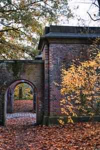 Sunlight falling on leaves of building